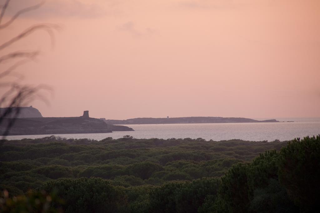 Is Arenas Resort Narbolia Εξωτερικό φωτογραφία